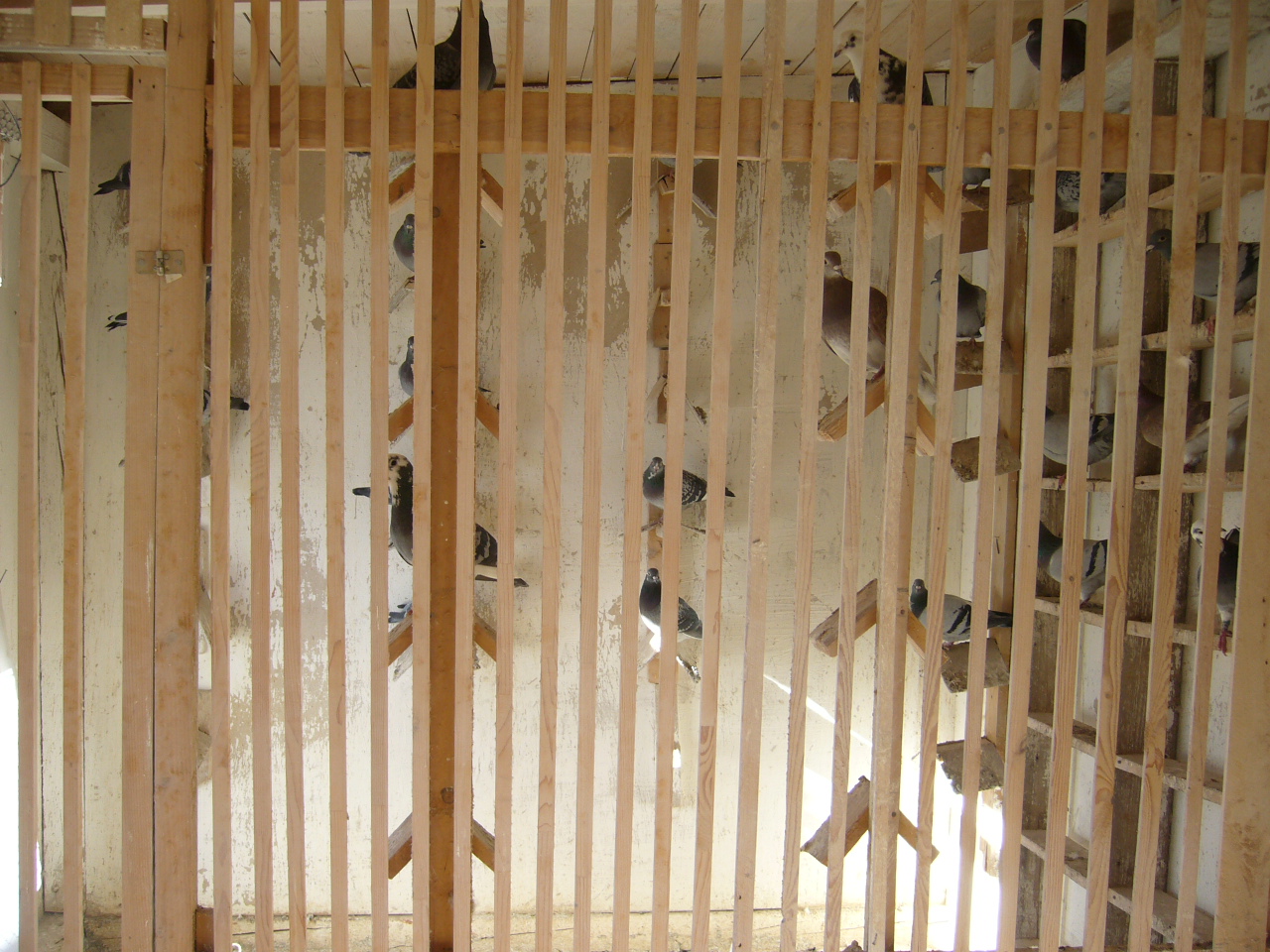 P1000923.JPG